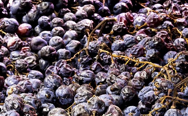 Amarone della Valpolicella